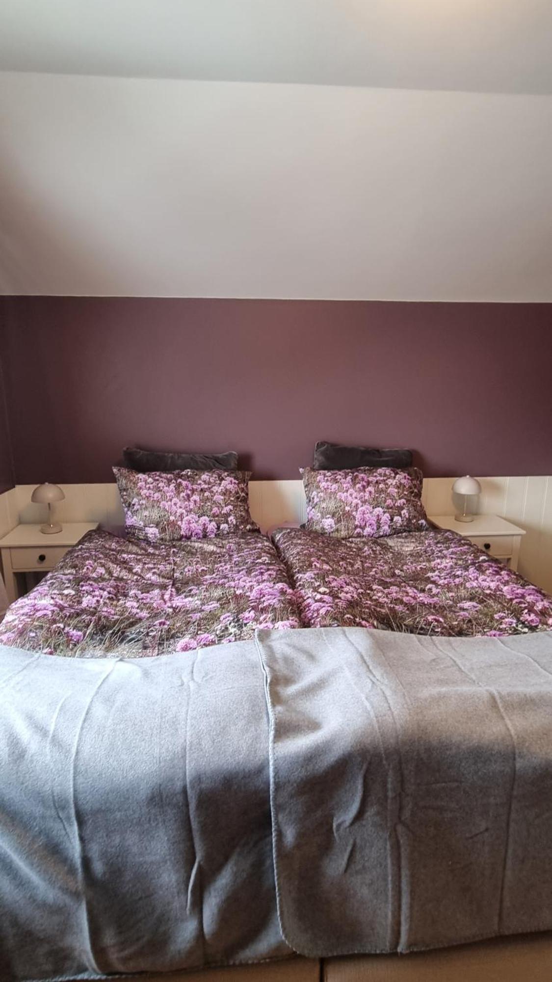 Fornilaekur Guesthouse Blonduos Eksteriør bilde