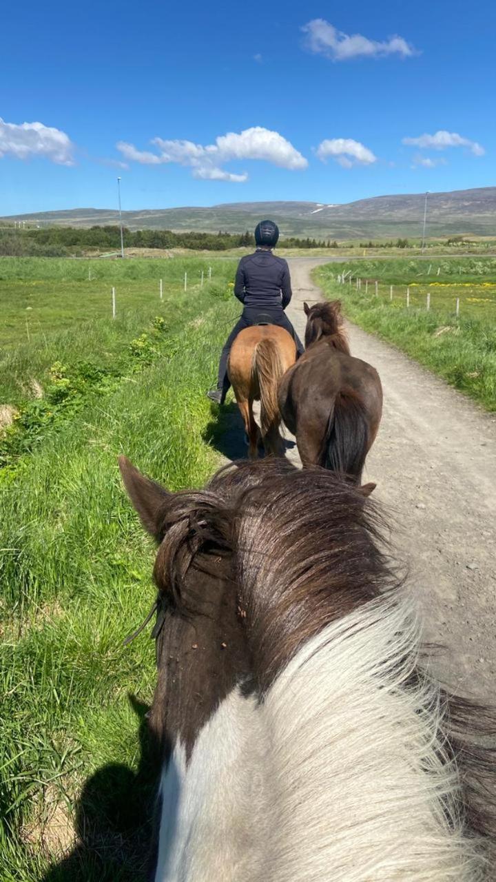 Fornilaekur Guesthouse Blonduos Eksteriør bilde