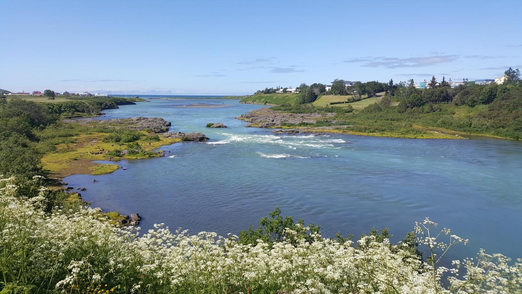 Fornilaekur Guesthouse Blonduos Eksteriør bilde